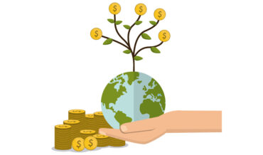 Come le imprese possono finanziarsi per sviluppare il loro business in maniera sostenibile